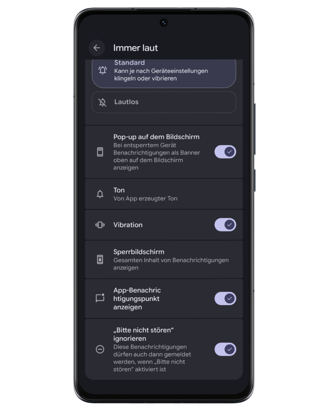 Screenshot: Kanal Immer laut – Einstellungen unten